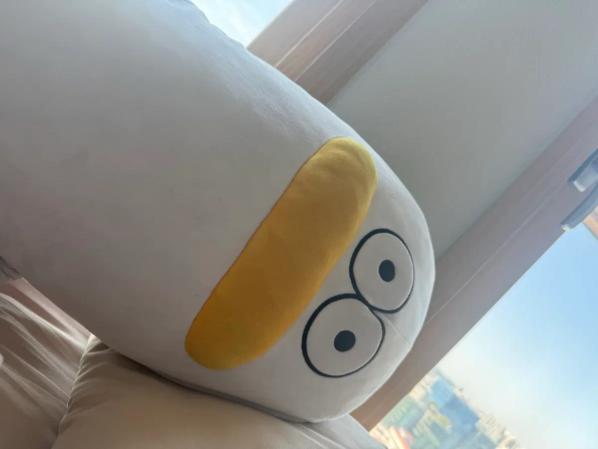 오둥이 바디필로우
