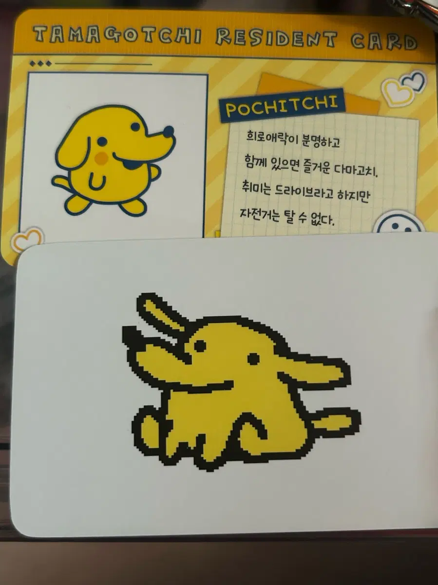 다마고치 포치치 포토카드& 콜라보 카페 특전