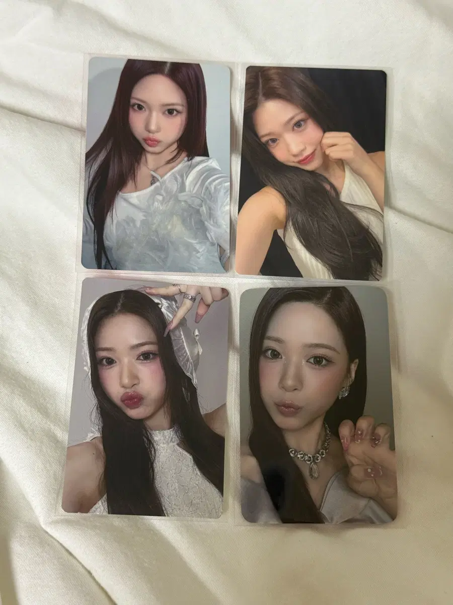 일괄) 리센느 제나 포토카드 포카 비공굿 프리쿠라
