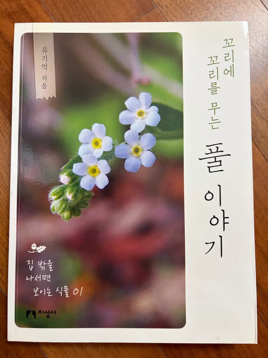 꼬리에 꼬리를 무는 풀 이야기