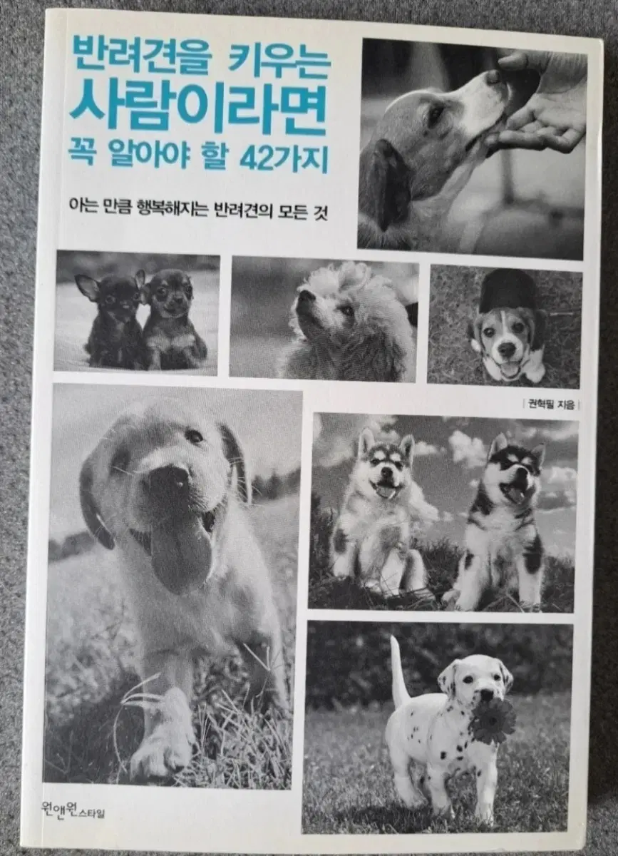 서적 반려견을 키우는 사람이라면 꼭 알아야 할 42가지