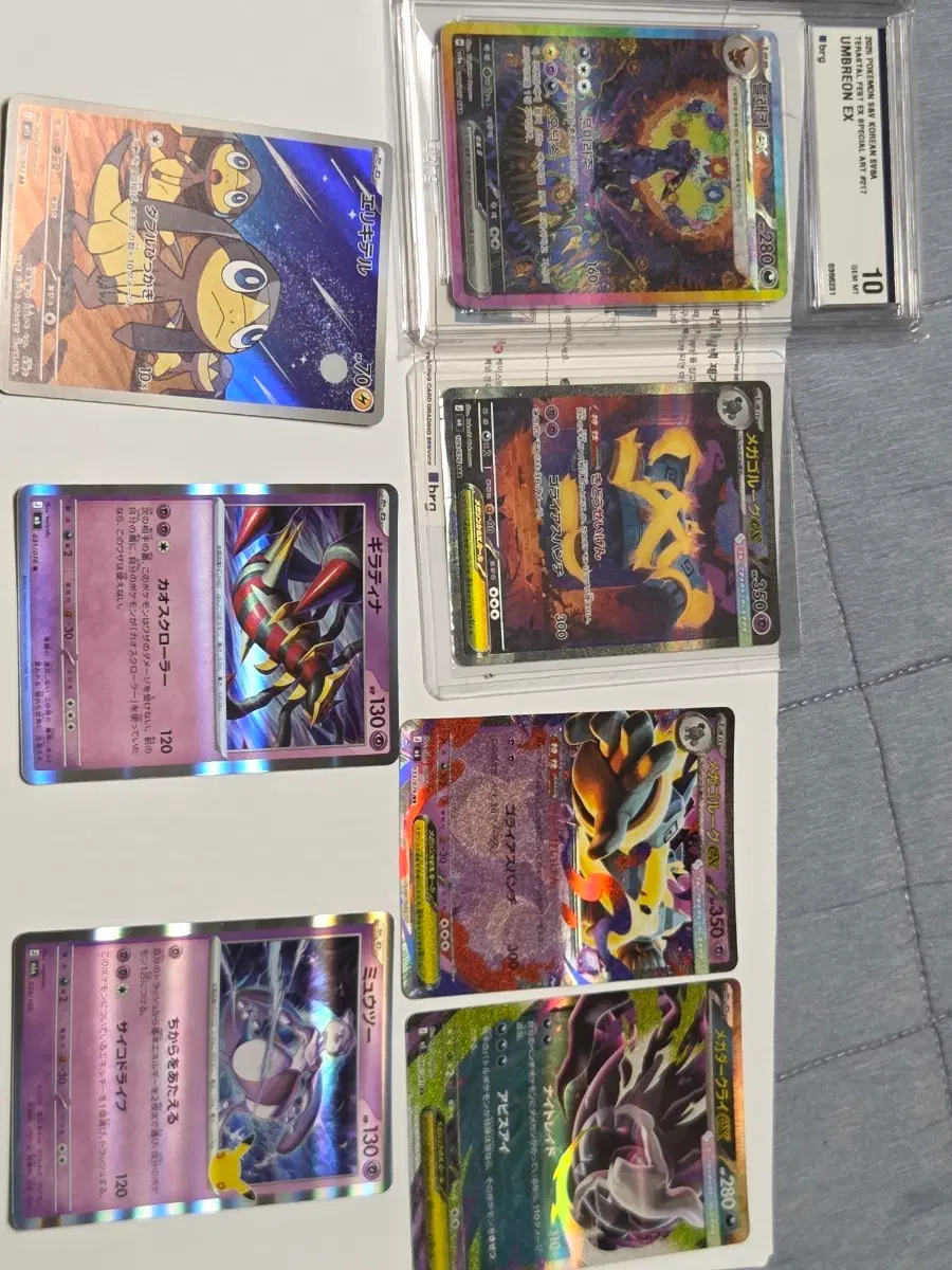 [BRG10] 블래키 sar +덤
