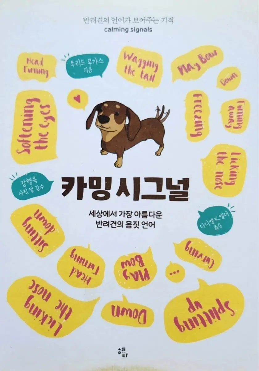 서적 커밍시그널