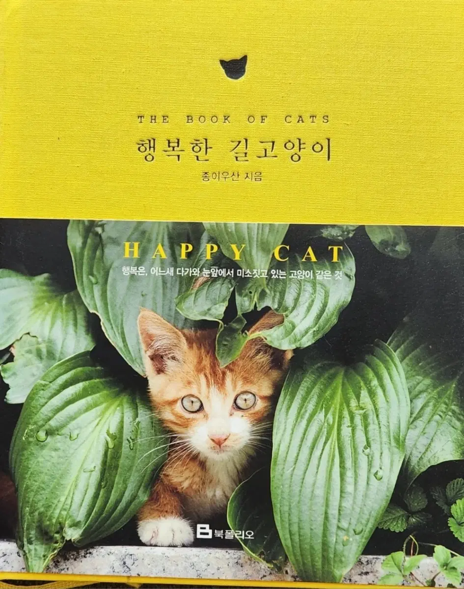 서적 행복한 길고양이