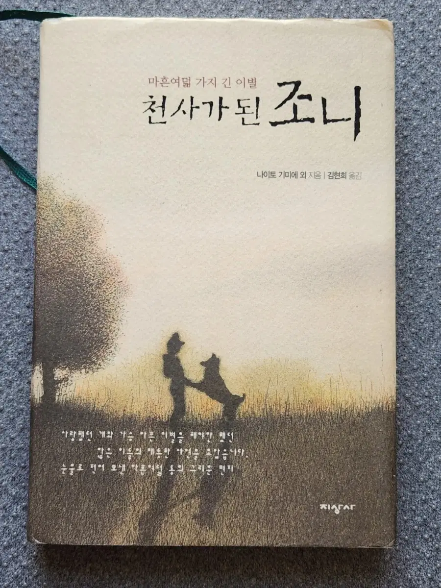 소설책 천사가 된 조니