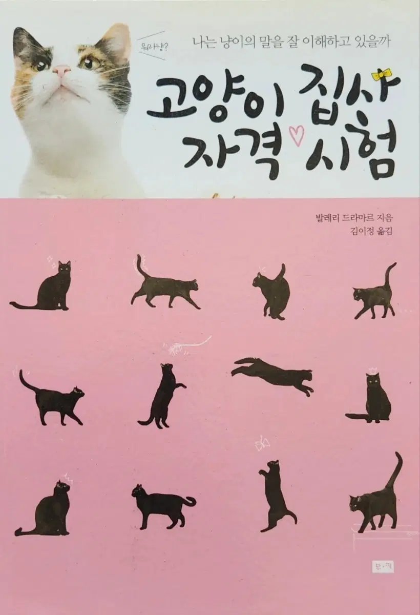 서적 고양이 집사 자격 시험