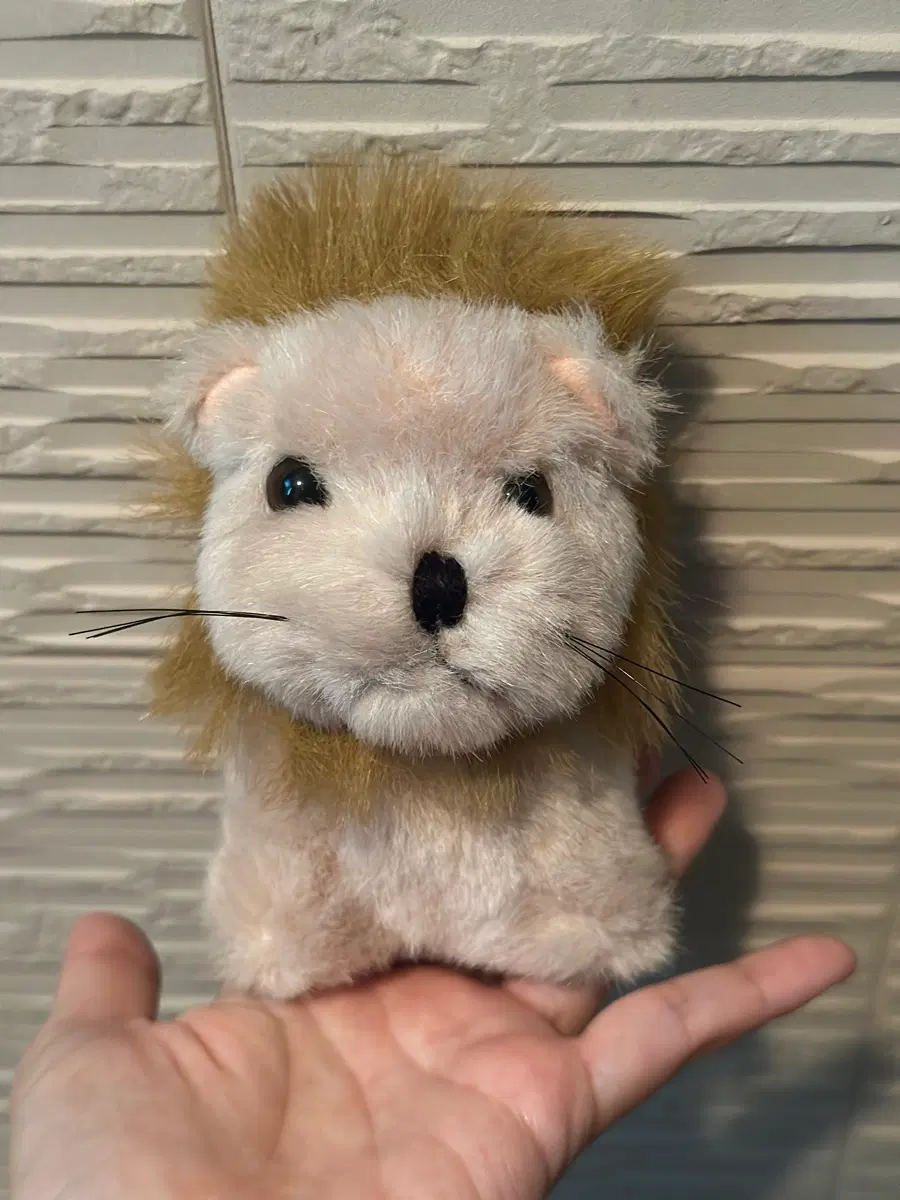 사자? 강아지? 인형