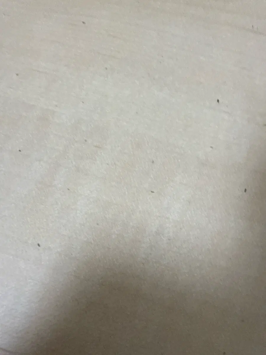 구주연마의서