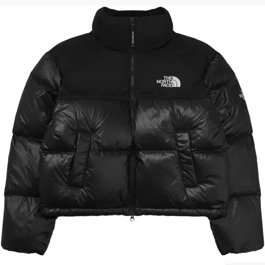 (W) 노스페이스 화이트 라벨 노벨티 눕시 다운 자켓 블랙