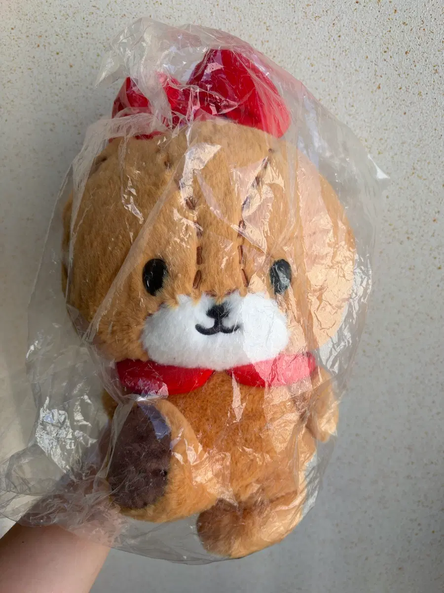 산리오 타이니참 타이니챰 500개 한정 30cm 인형