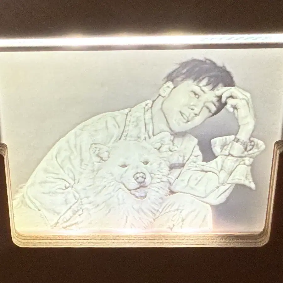 라비 십이견지 무드등
