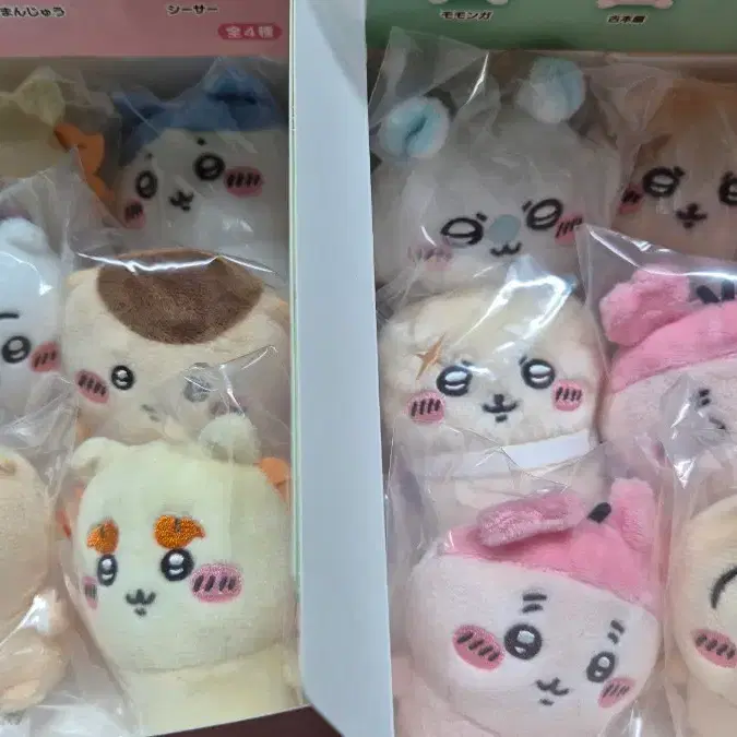 치이카와 앉은누이