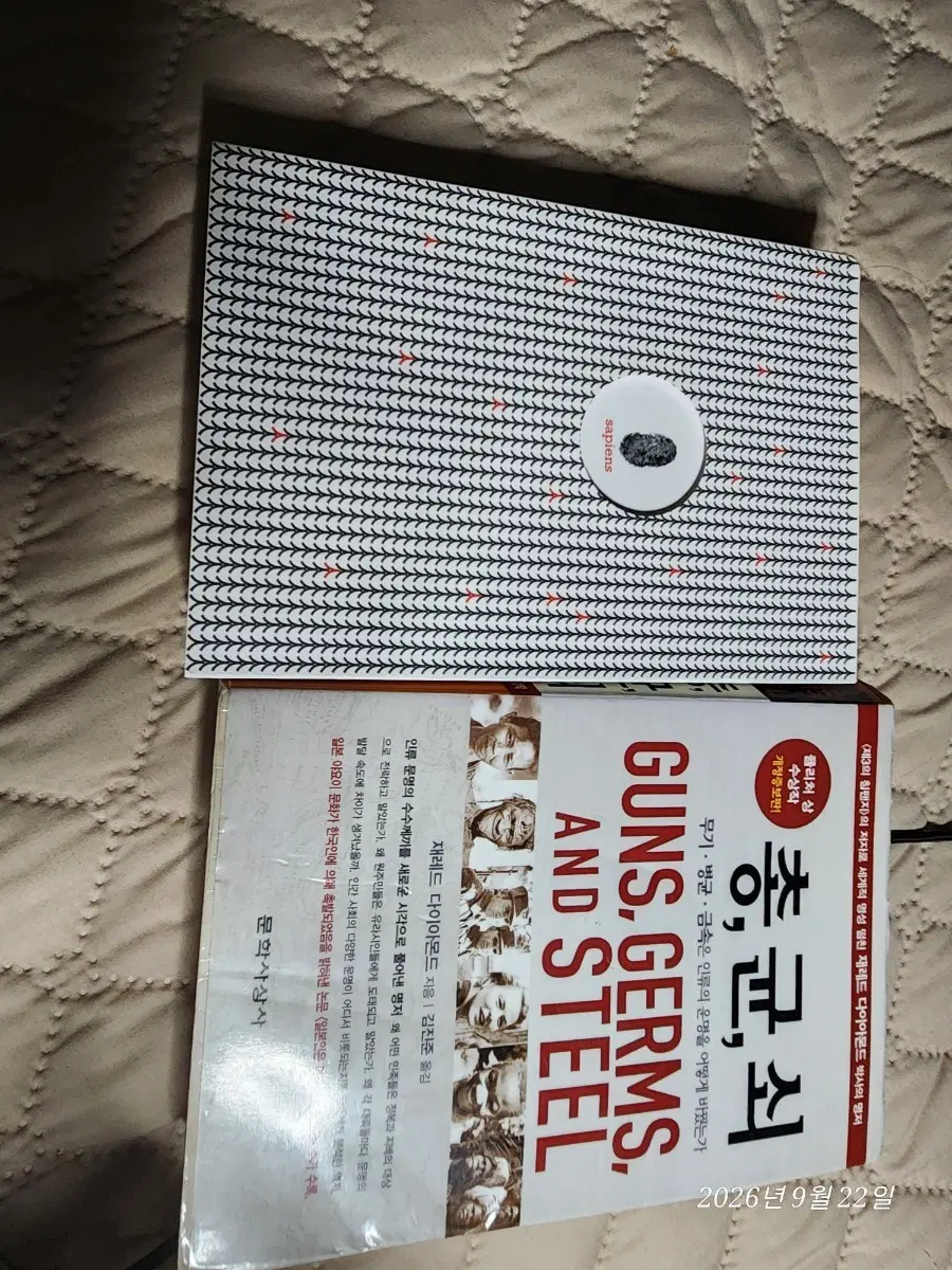 사피엔스 리커버 에디션과  총, 균, 쇠 (Guns, Germs, and Steel) 도서 일괄 판매
