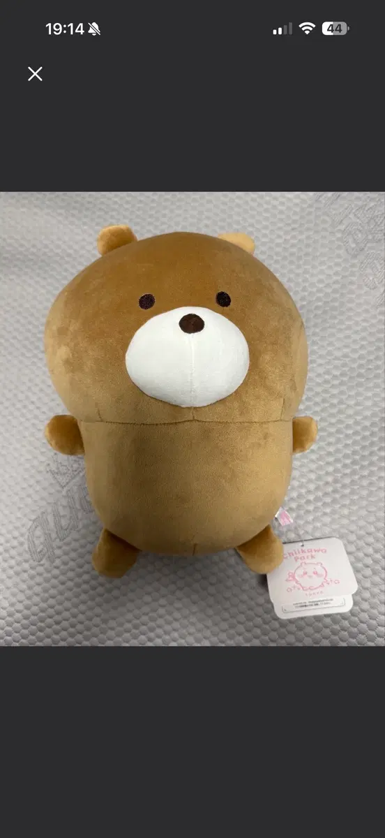 치이카와(먼작귀)파크 한정 곰돌이 인형