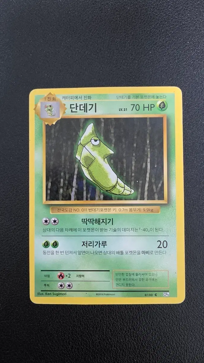 포켓몬 카드 단데기 cp6 004