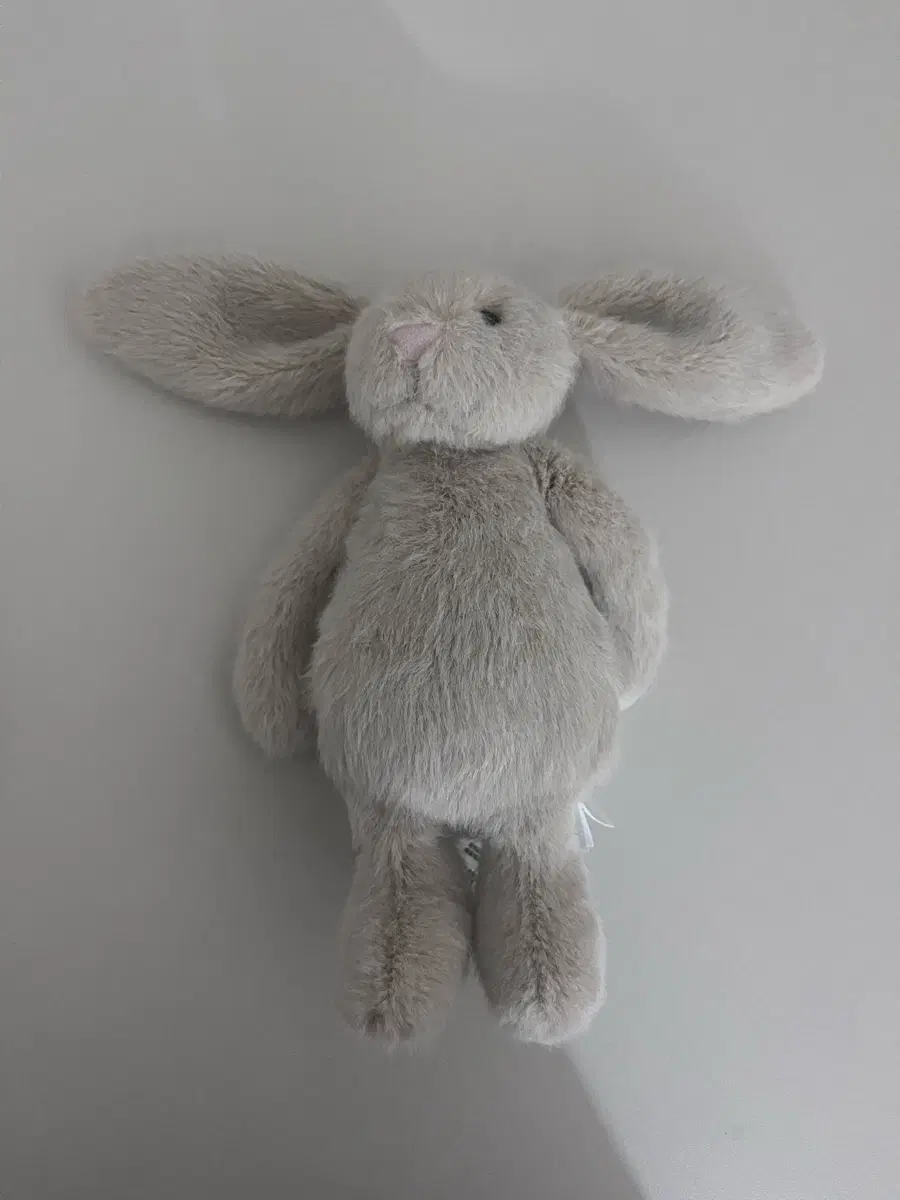 jellycat 젤리캣 스몰 버니