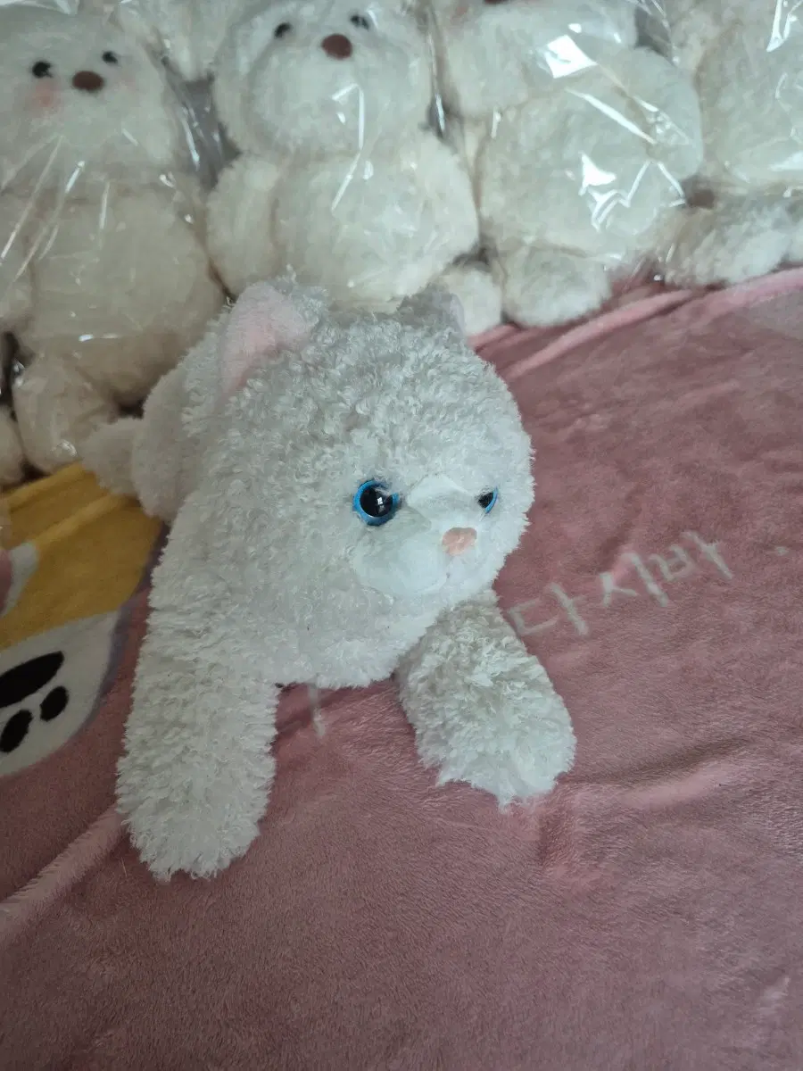 고양이 인형 부드러운 솜사탕색