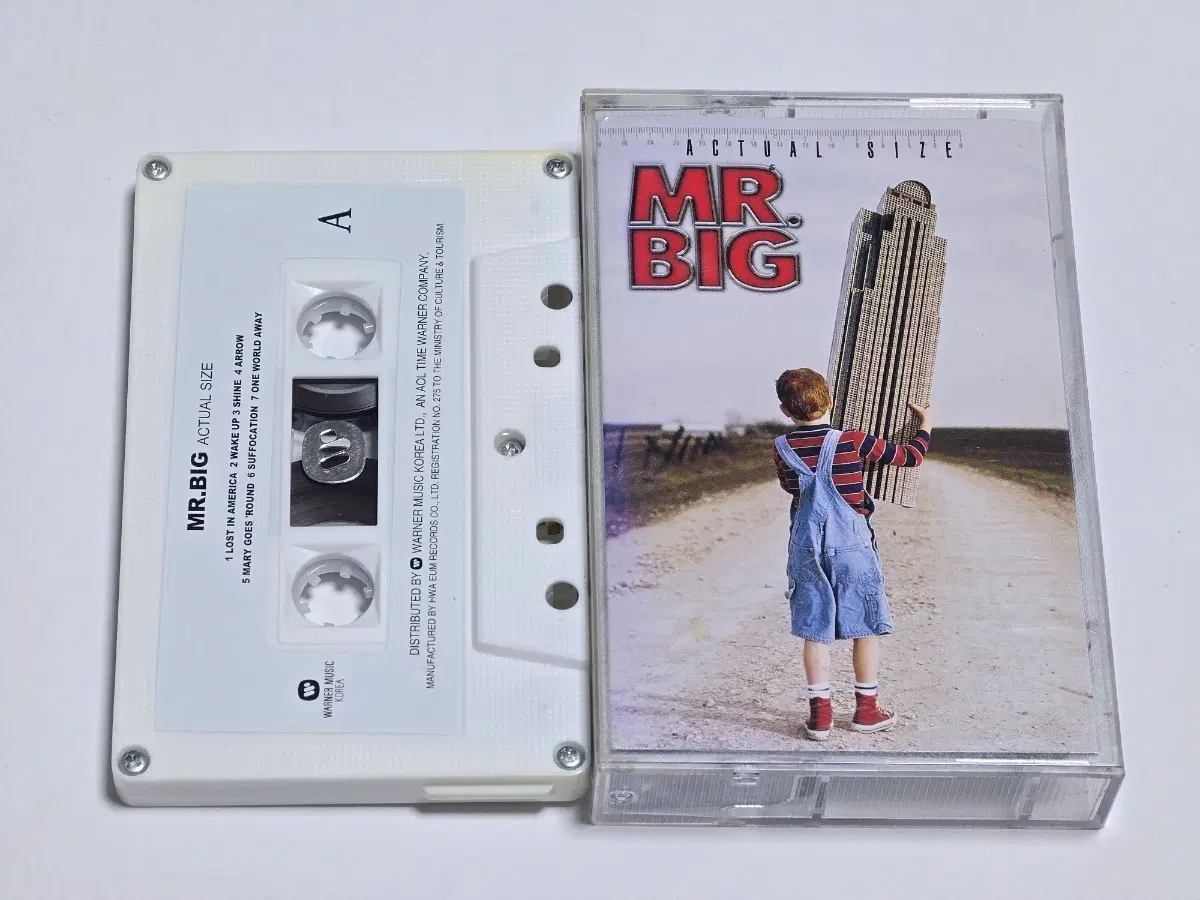Mr. Big (미스터 빅) - Actual Size (2001)