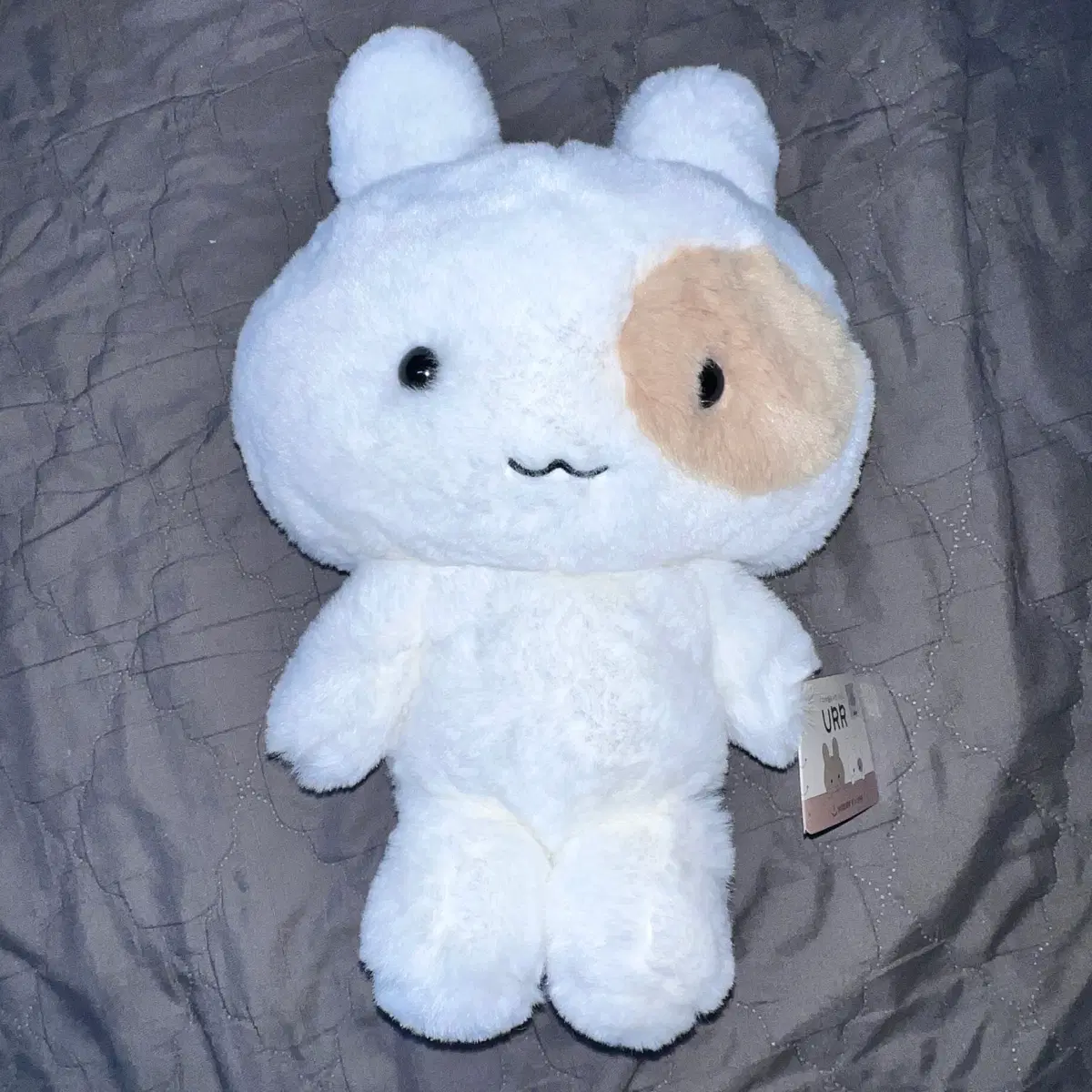 서일페 URR 유르님 모모 인형 양도