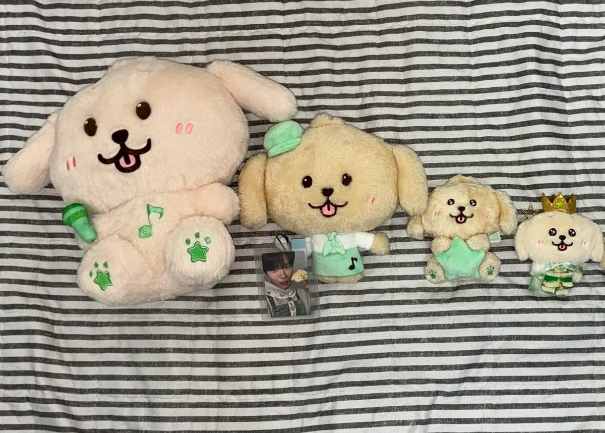 엔시티 위시 재희 댕트