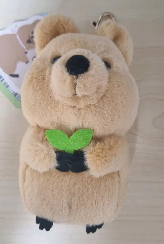 키키 쿼카 인형 키링