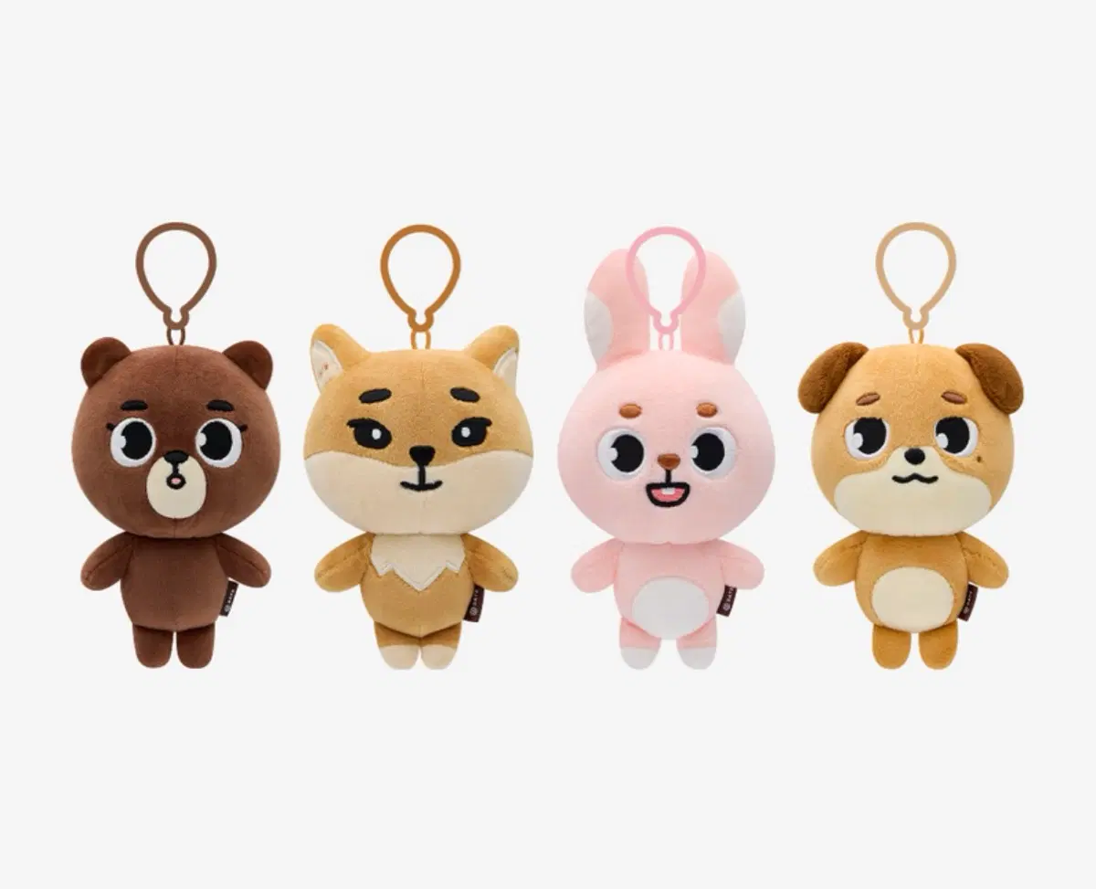 데이식스 데니멀즈 24돈