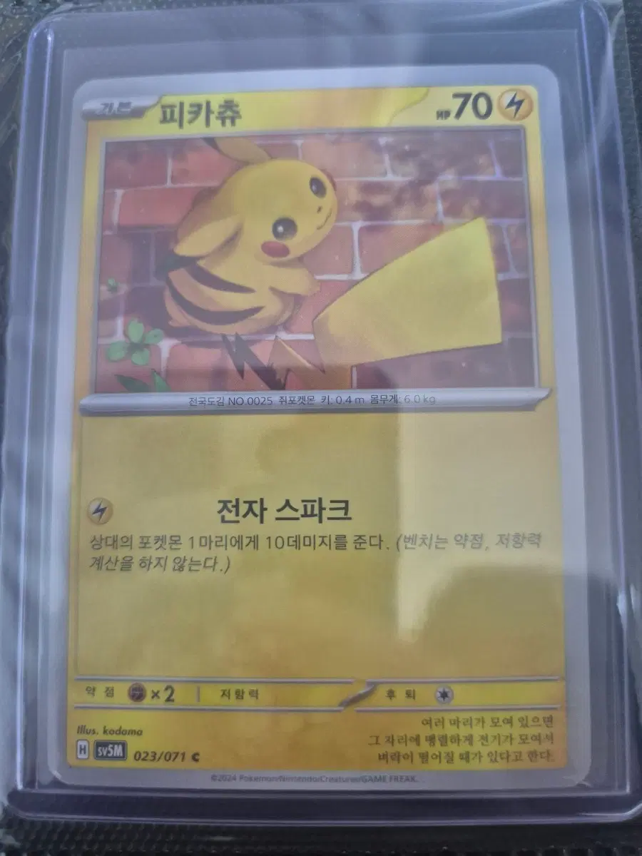 포켓몬 피카츄 카드