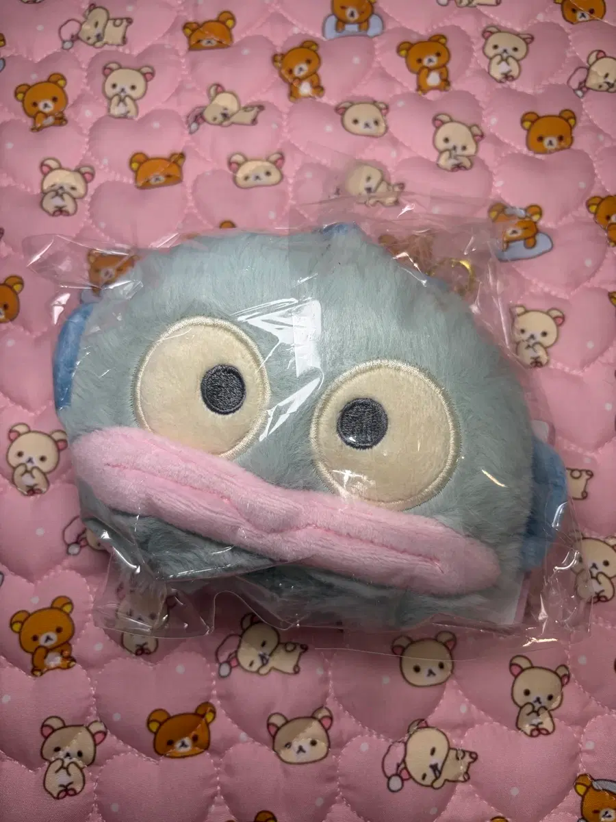 한교동 카드 릴패스