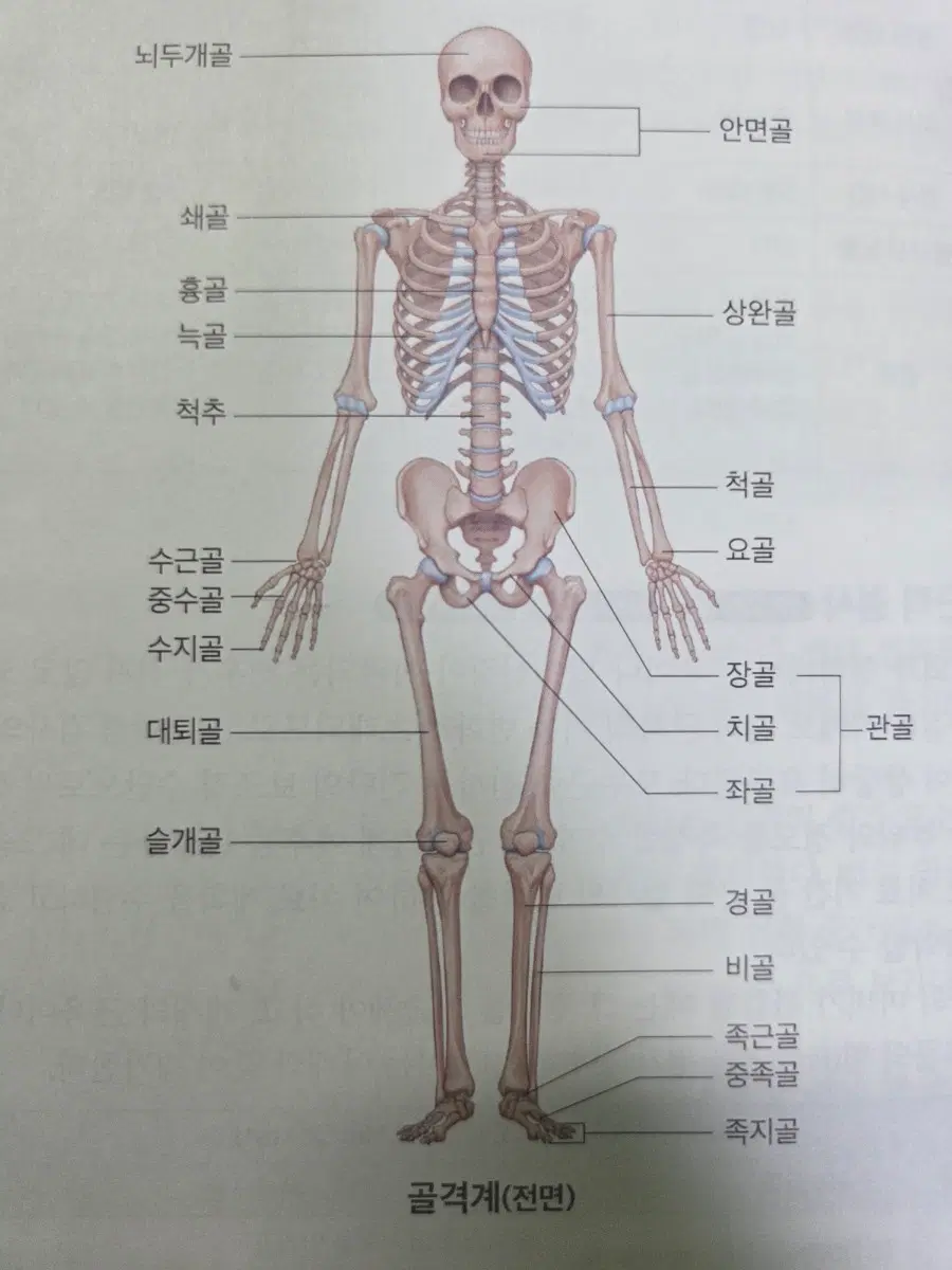 의학서적