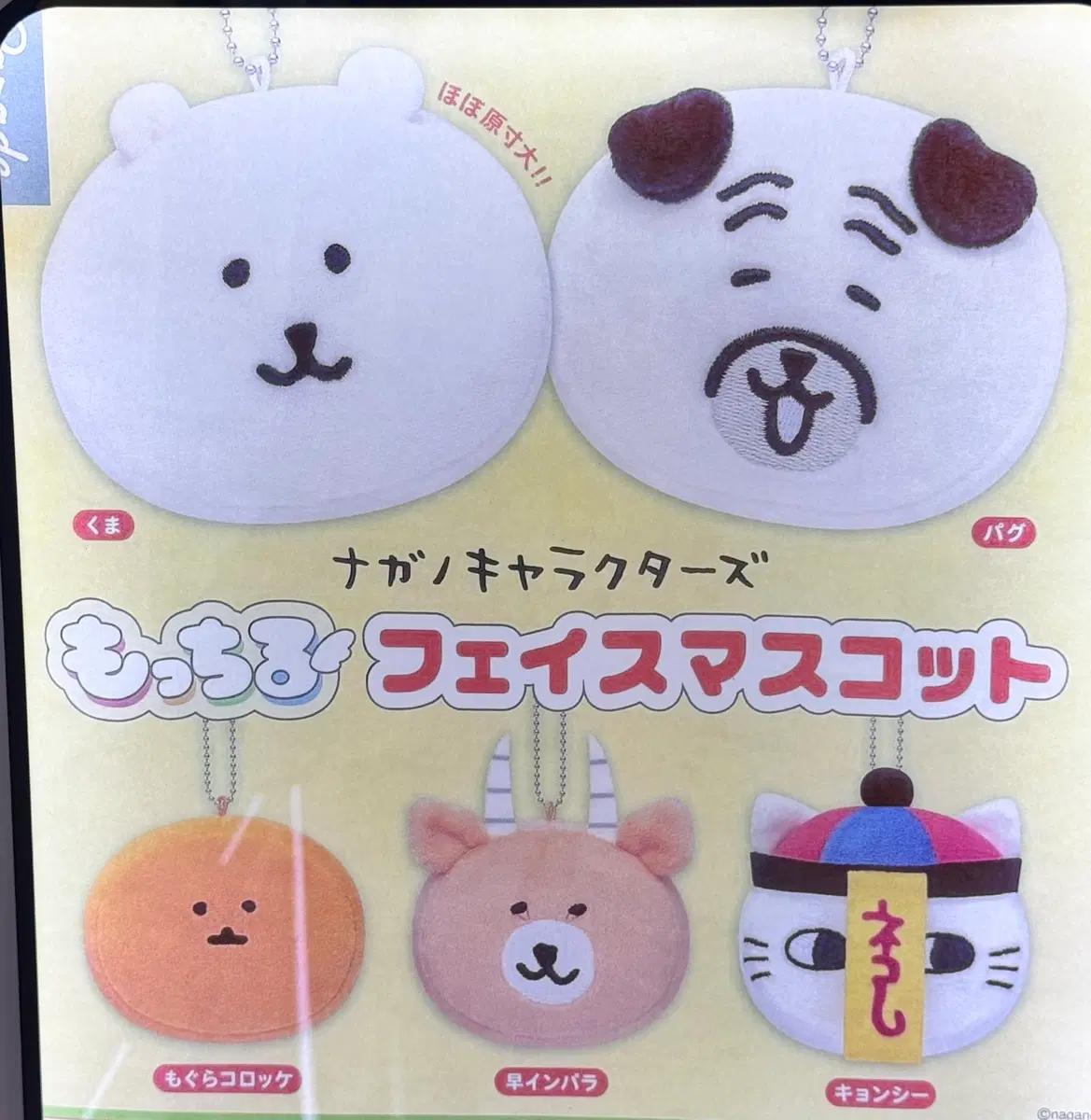 농담곰 모찌 페이스 마스코트 5개 일괄 (개별가능)