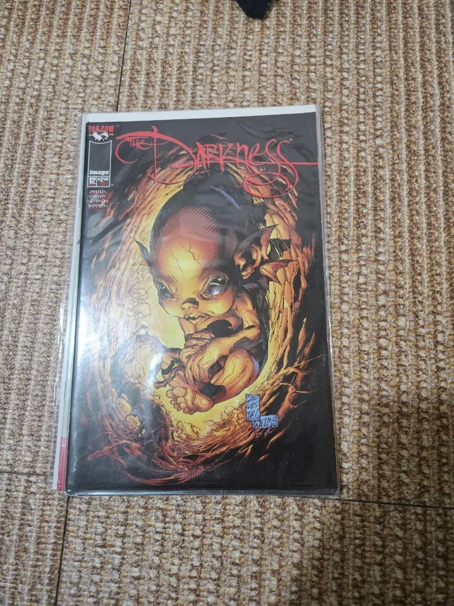 인디 / D / THE DARKNESS #12