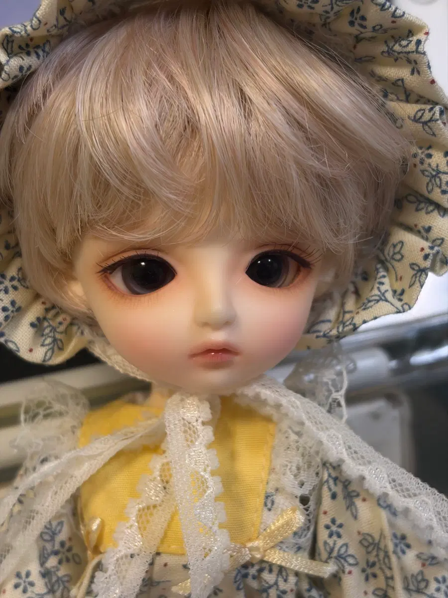 급처) 리나슈슈 클로에 구체관절인형 본체