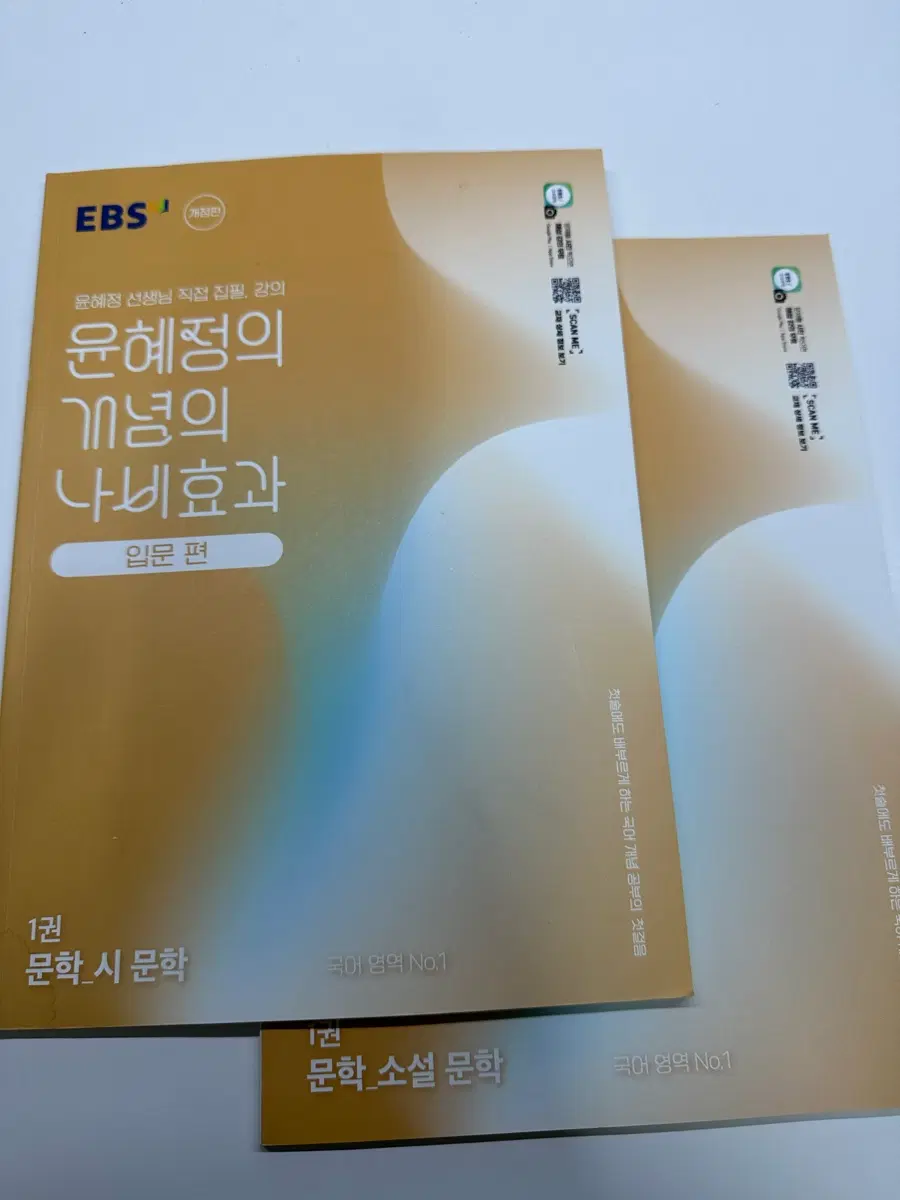 EBS 윤혜정의 개념의 나비효과 입문편 1권 문학