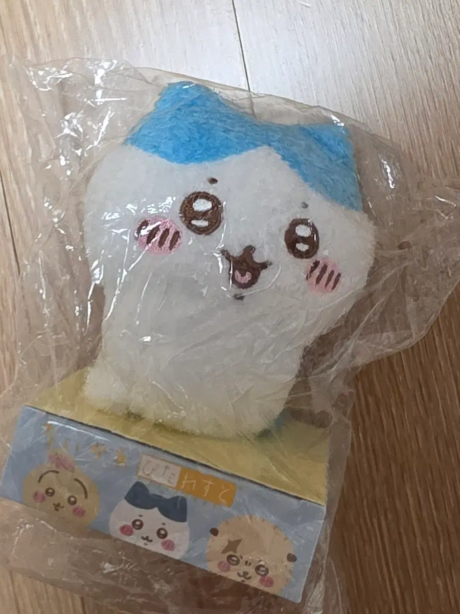 치이카와 피타레스토 하치와레