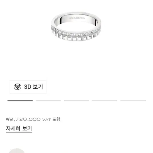 부쉐론 레디언트 에디션 50호 사진 5