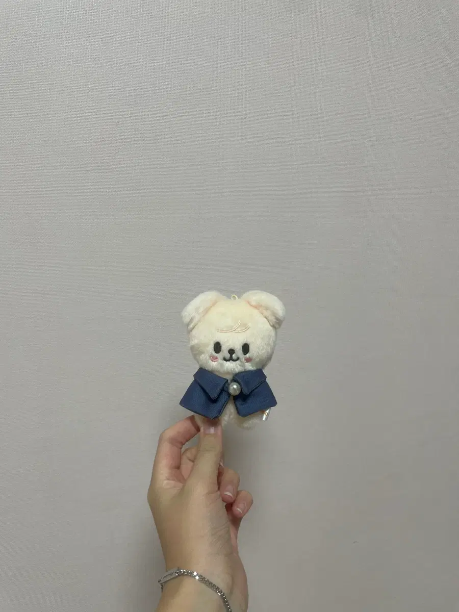 스키주(퍼핌)