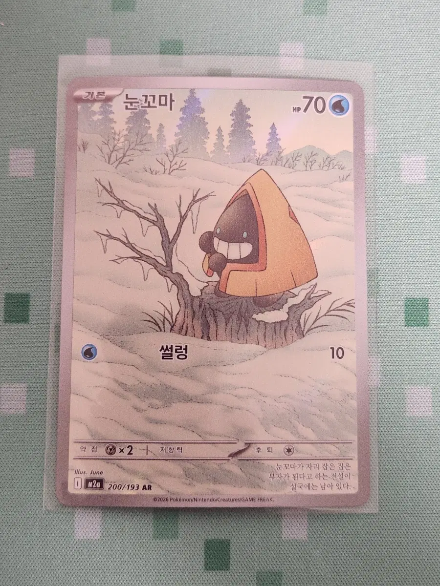 포켓몬카드 눈꼬마 ar