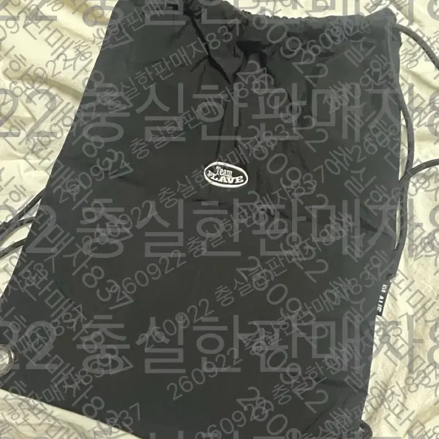 팀 플레이브 시그 백팩