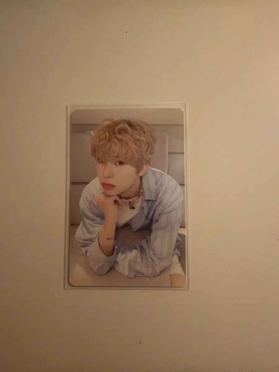 2025 SEASON'S GREETINGS RANDOM TRADING CARD 시온