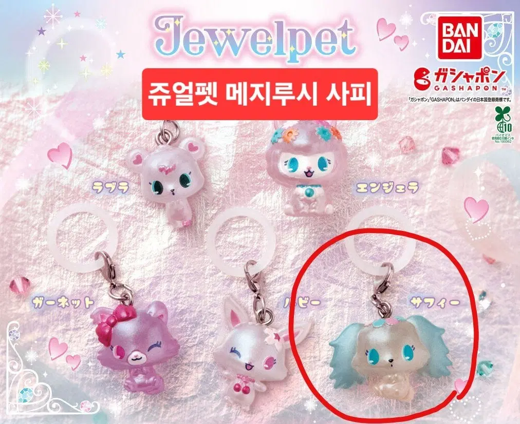쥬얼펫 메지루시 사피