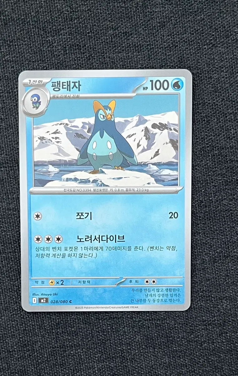 포켓몬스터 팽태자