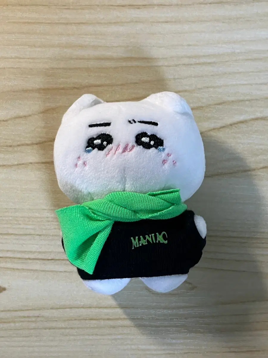 스트레이키즈 필릭스 용복이 비공굿 울복이 특전O felix 뽁아리