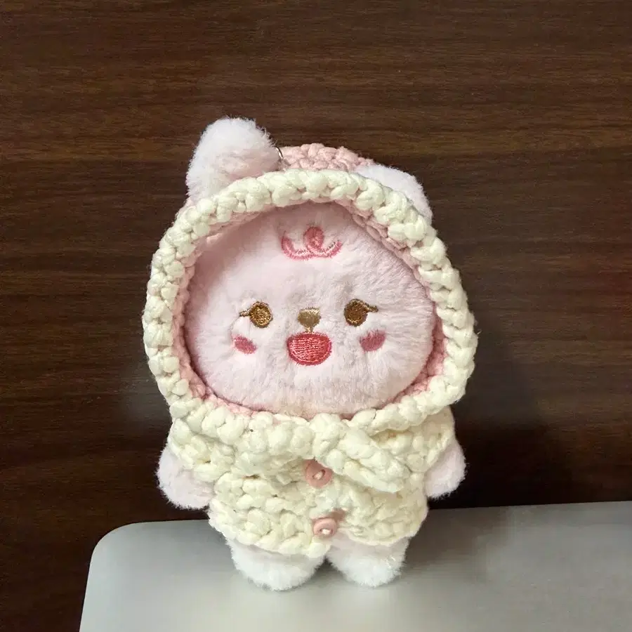 데이식스 원필 쁘띠멀즈 쁘멀