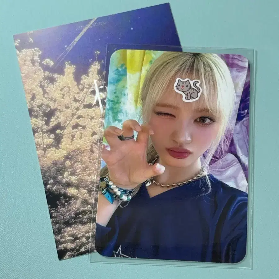 아이브 리즈 2025 시그 케타포 특전