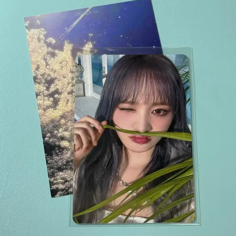 아이브 리즈 alive hmv특전