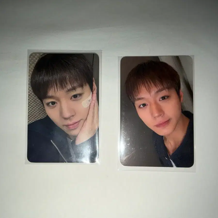 박지훈 2026 도쿄 팬콘 vip입장 포카 양도