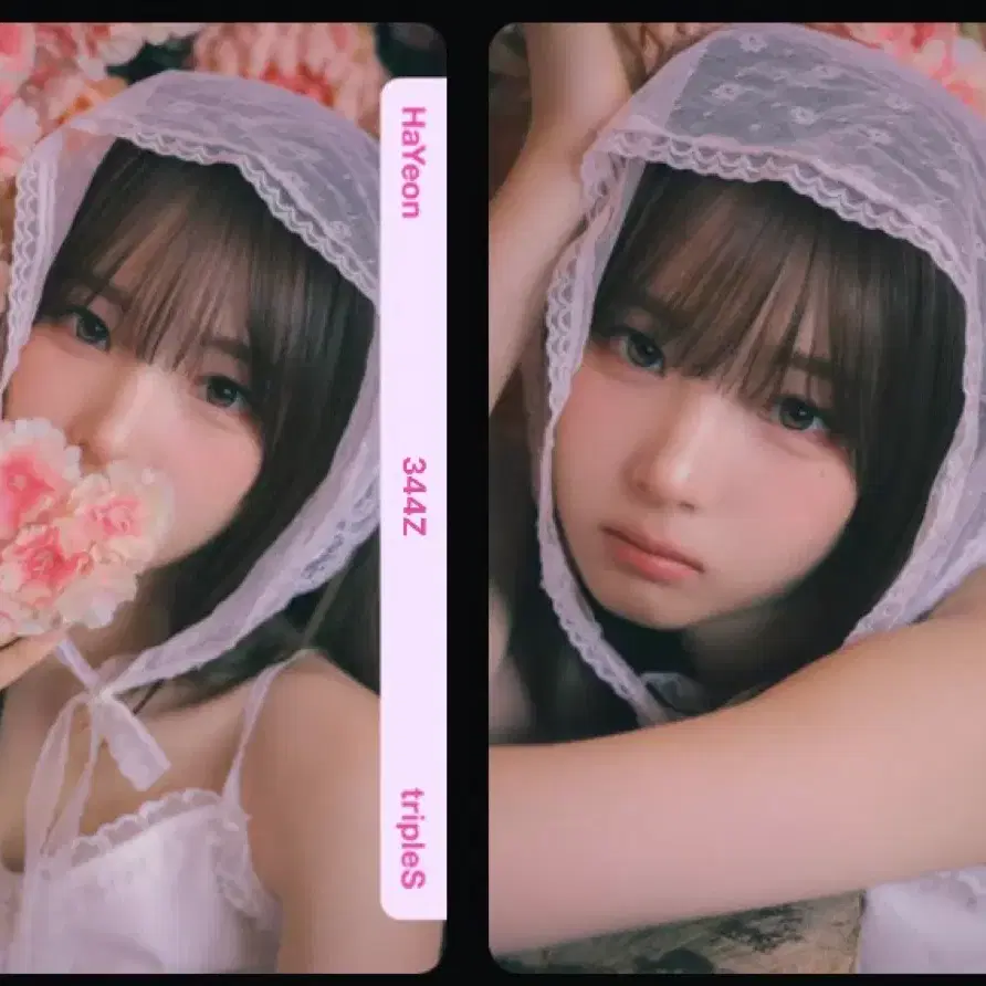 트리플에스 오브젝트 정하연 하연 벚꽃 옵젝 bb344 bb345