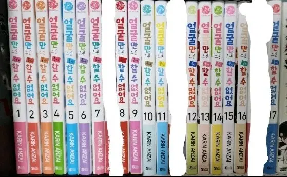 얼굴만으론 좋아할수 없어요 카오스키 1-17전권세트