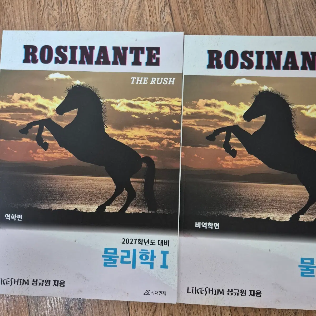 2027 시대인재 물리학1 물1 심규원 로시난테