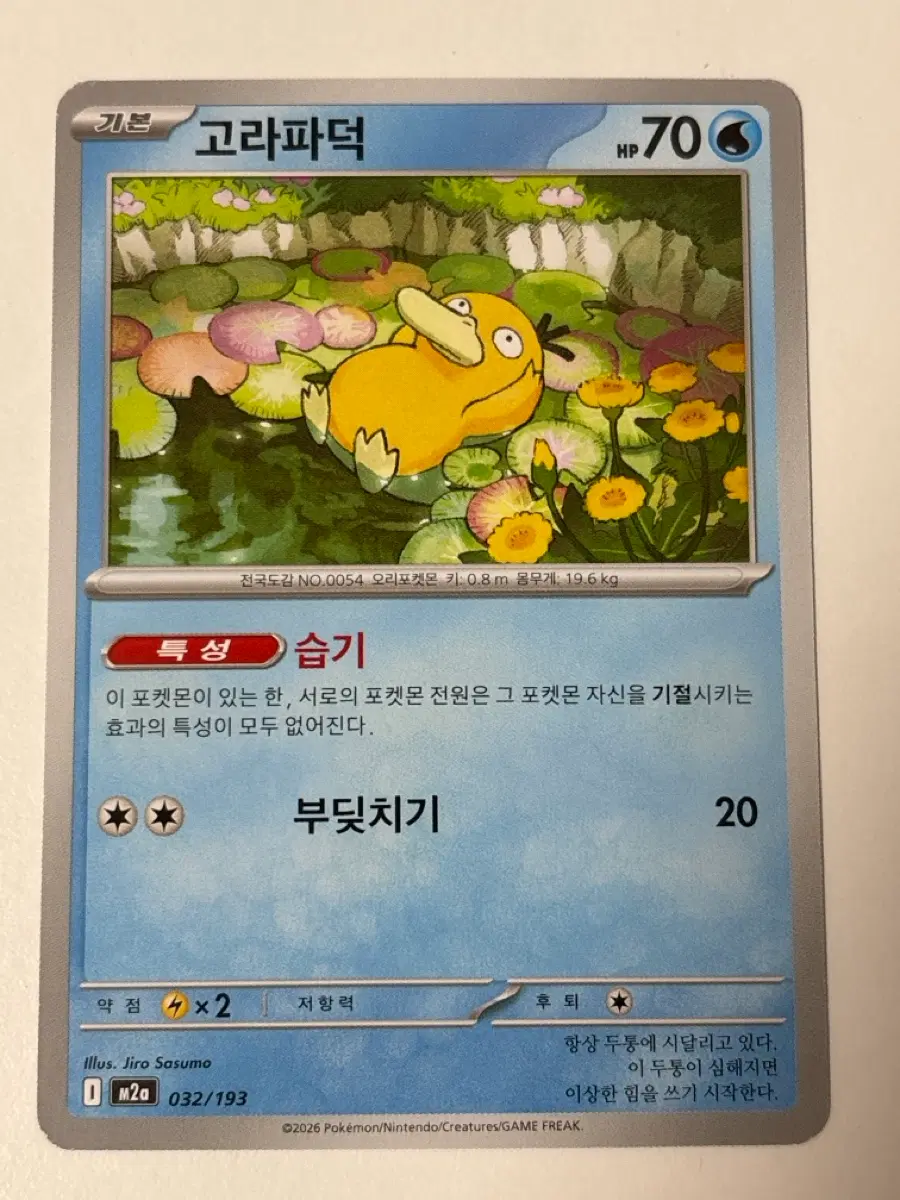 포켓몬카드 고라파덕 m2a
